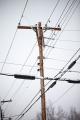 IMG_2537 utility pole